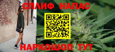 стаф Донецк