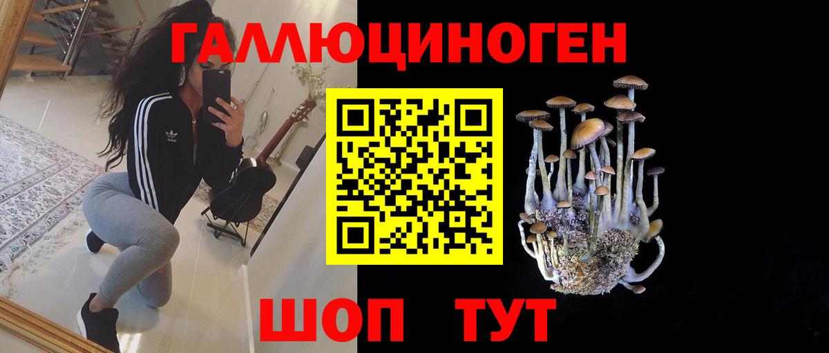 Псилоцибиновые грибы ЛСД  Псилоцибиновые грибы Cubensis  Полевской  Вход с VPN 